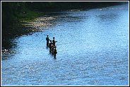 <font color=237299>«Рыбалка на реке Вахиль»  с рыболовного лагеря</font>