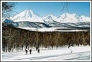 <H3>«К вулканам и горячим источникам Камчатки»</H3>зимний экскурсионный